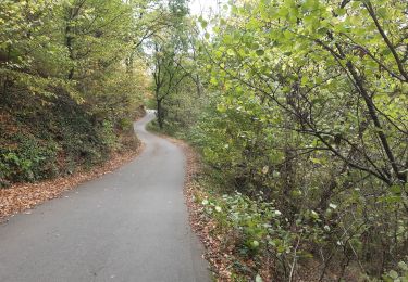 Percorso Marcia Chaudfontaine - via bois des dames et bois de la rochette  - Photo