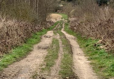 Randonnée Marche Grez-Doiceau - Tour du Château + Tilleul  - Photo