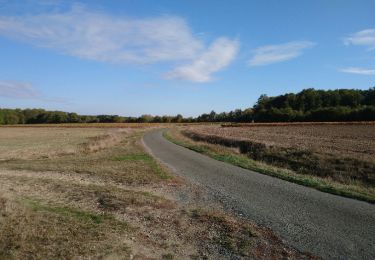 Randonnée Marche Saint-Ouen-les-Vignes - Saint-Ouen-les-Vignes - Monteaux (la Digue) boucle via GR3 - 21.4km 195m 4h30 (35mn) - 2018 10 27 - Photo