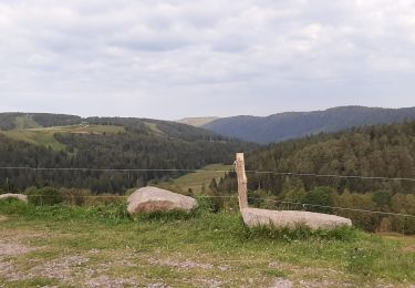 Tocht Mountainbike La Bresse - la bresse honneck - Photo