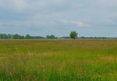 Trail On foot Straupitz (Spreewald) - Wanderweg Kannomühle-Burg... - Photo