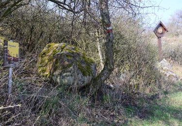 Excursión A pie Gemeinde Retz - Rosstalenweg - Photo