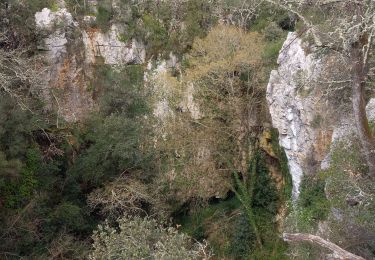 Tocht Stappen Sauve - Mer des Rochers 24.3.24 - Photo