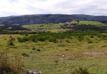Tocht Stappen Mont Lozère et Goulet - GR_70_AG_07_Mont-Lozere-Goulet_Cubieres_20140921 - Photo