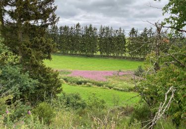 Percorso Marcia Wincrange - Escapardenne Eisleck Trail: Moulin d'Asselborn - Houffalize - Photo