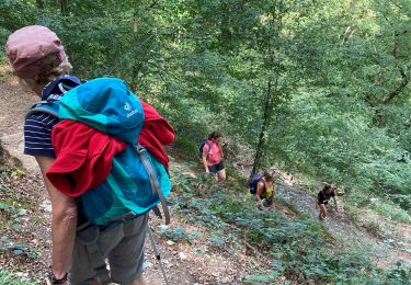 Trail Walking Profondeville - Sept Meuse Profondeville  21,4 km - Photo