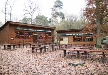 Randonnée Randonnée équestre Bois-le-Roi - Tour IdF - Etape Bois-le-Roi à Achères-la-Forêt - Photo