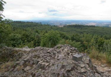 Randonnée A pied Dannenfels - Keltenwanderweg - Photo