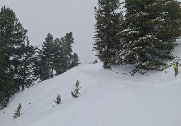 Randonnée Raquettes à neige La Plagne-Tarentaise - La Plagne Village, Dou du Praz, La Plagne Centre  - Photo