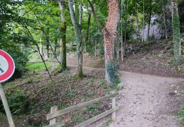 Trail Walking Ax-les-Thermes - Le chemin de la Ramille - Photo