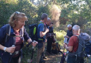 Tour Wandern Le Lavandou - Le Lavandou Cavalières le Temple d'Hercule  - Photo