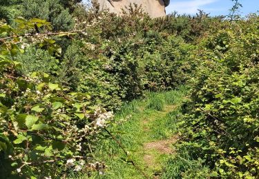 Percorso Marcia Perros-Guirec - Sentier des douaniers - Photo