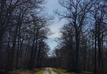 Randonnée V.T.T. Saint-Clément - sortie vtt du 15032020  - Photo