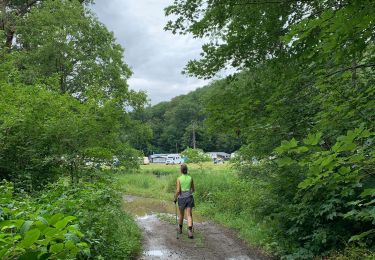 Excursión Senderismo Vresse-sur-Semois - Alle-Frahan-Poupehan en terug - Photo