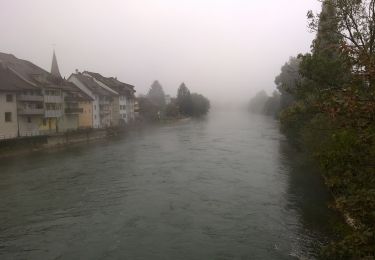 Tocht Te voet Mellingen - Brunegg - Büblikon - Mellingen - Photo