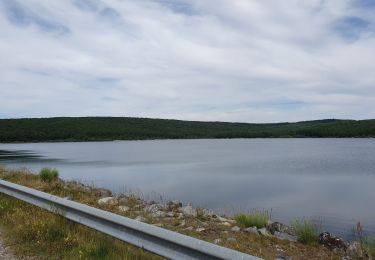 Trail Walking Les Martys - lac de laprade - Photo