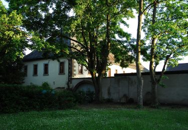 Randonnée A pied Ingelheim am Rhein - Hiwweltour Westerberg - Photo