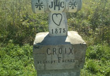 Tocht Stappen Camurac - Les sept frères - Photo