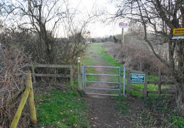 Tocht Te voet Wyre Forest - Stourport Circular Walk - Photo