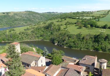 Trail Walking Saint-Jean-Saint-Maurice-sur-Loire - St Jean-St Maurice 18km - Photo