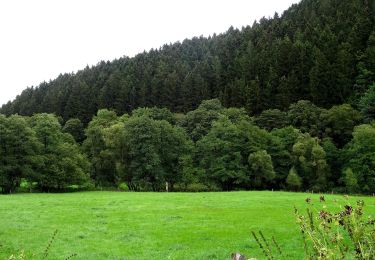 Tour Zu Fuß Winterberg - Heilklimatour 3 - Sonne tanken - Photo