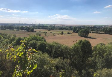 Trail Walking Mont-d'Origny - Falaise bloucard - Photo