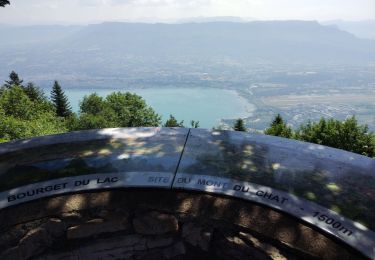 Trail Walking Saint-Paul - Dent du Chat  - Photo