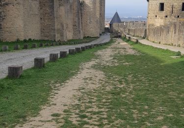 Excursión Senderismo Villasavary - Tour de la cité sénateurs... - Photo