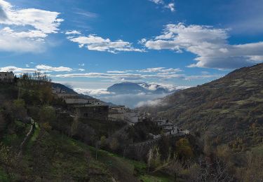 Tocht Te voet Capileira - Acequias del Poqueira - Photo