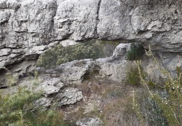 Tocht Stappen Méounes-lès-Montrieux - Chartreuse de Montrieux le Jeune  Aiguilles de Valbelle - Photo