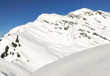 Percorso Sci alpinismo Montsapey - Petit Arc et Char de la Turche  - Photo