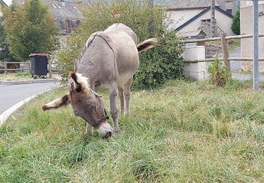 Percorso Marcia Mont Lozère et Goulet - arsel chasserades au bleymard  - Photo