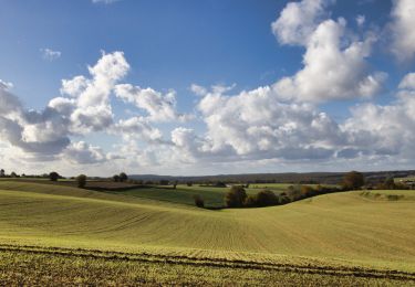 Randonnée Marche Arcisses - Coudreceau, les panoramas du Perche Eurélien 9,4 km - Photo