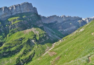 Trail On foot Schwende - Säntis - Mesmer - Photo