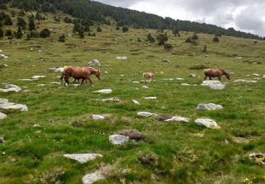 Randonnée Marche Mérens-les-Vals - Mèrens les Vals Haut Porta GR 107 Le chemin Des Bonshommes - Photo