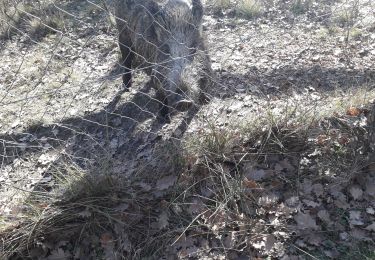 Tocht Stappen Le Poët-Laval - Serre Gros - Photo