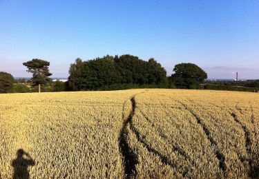 Percorso A piedi North Warwickshire - ACW Circular Walk 16A (short-cut for C16) - Photo