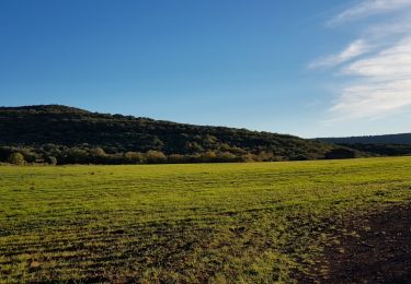 Tour Wandern Le Bosc - Saint-Alban - Célis - La Roque  - Photo