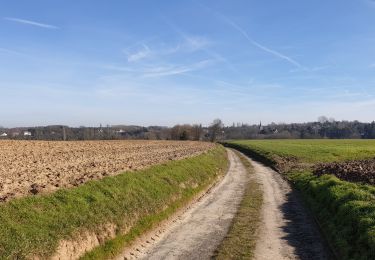 Tocht Stappen Chaumont-Gistoux - Marche Adeps a Chaumont Gistoux - Photo