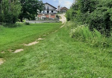 Trail Walking  - la Reverotte - Photo