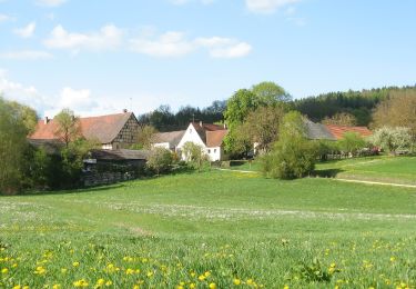 Tour Zu Fuß Treuchtlingen - Kapellenweg - Photo