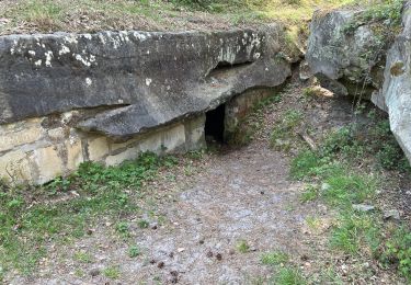 Trail Walking Ormoy-le-Davien - Ormoy - Cave du diable  - Photo