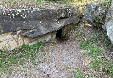 Randonnée Marche Ormoy-le-Davien - Ormoy - Cave du diable  - Photo