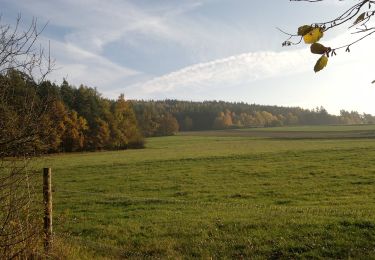 Tocht Te voet Louňovice pod Blaníkem - Malý Blaník – Podlesí - Photo