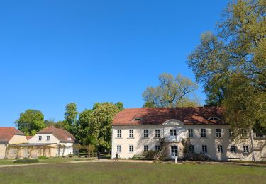 Tocht Stappen  - Boucle autour du Sacrower See und Königswald - Photo