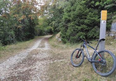 Percorso Mountainbike Villard-de-Lans - Villard-de-Lans Cyclisme sur route - Photo