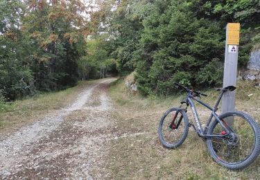 Randonnée V.T.T. Villard-de-Lans - VTT  SR - De Villard-de-Lans  à Lans En Vercors (Quasiment le Col de la Croix Perrin). - Photo