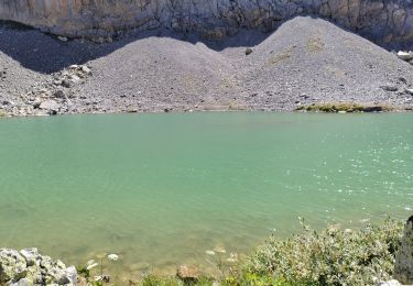 Excursión Senderismo Le Monêtier-les-Bains - Le pont de l'alpe/ réf les Drayeres  - Photo