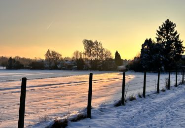 Trail Walking Hannut - Hannut R2 - Photo