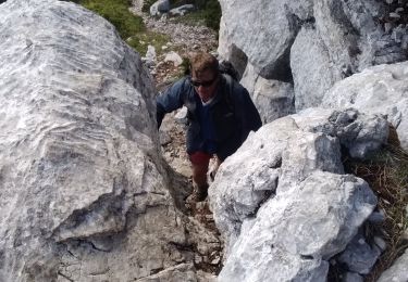 Tour Wandern Fillière - tête de l'Apertaz, tête ronde et tête noire - Photo